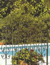 p18r7bv9ve1cl3do8gunp6f1bio2c