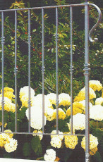 p18r7bv9viu341mth1fg24b411uv2i